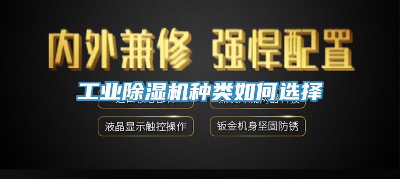 亚洲欧美一级特黄大片 工业除湿机种类如何选择