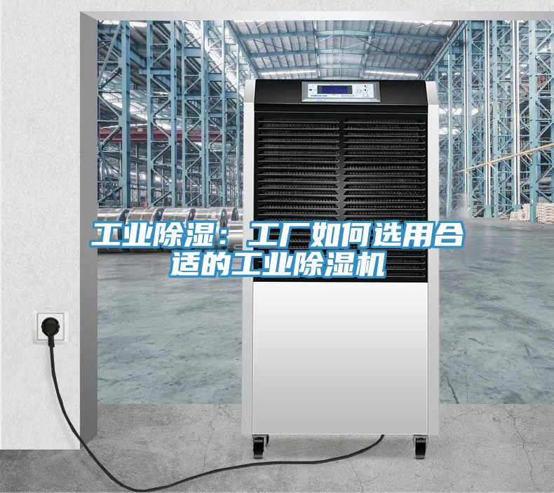 亚洲人成综合第一网站 工业除湿：工厂如何选用合适的工业除湿机
