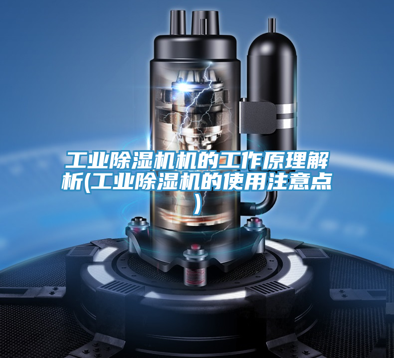 亚洲欧美一级特黄大片 工业除湿机机的工作原理解析(工业除湿机的使用注意点)