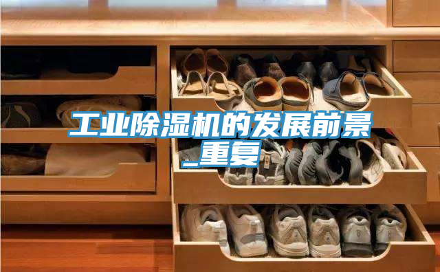 亚洲人成综合第一网站 工业除湿机的发展前景_重复