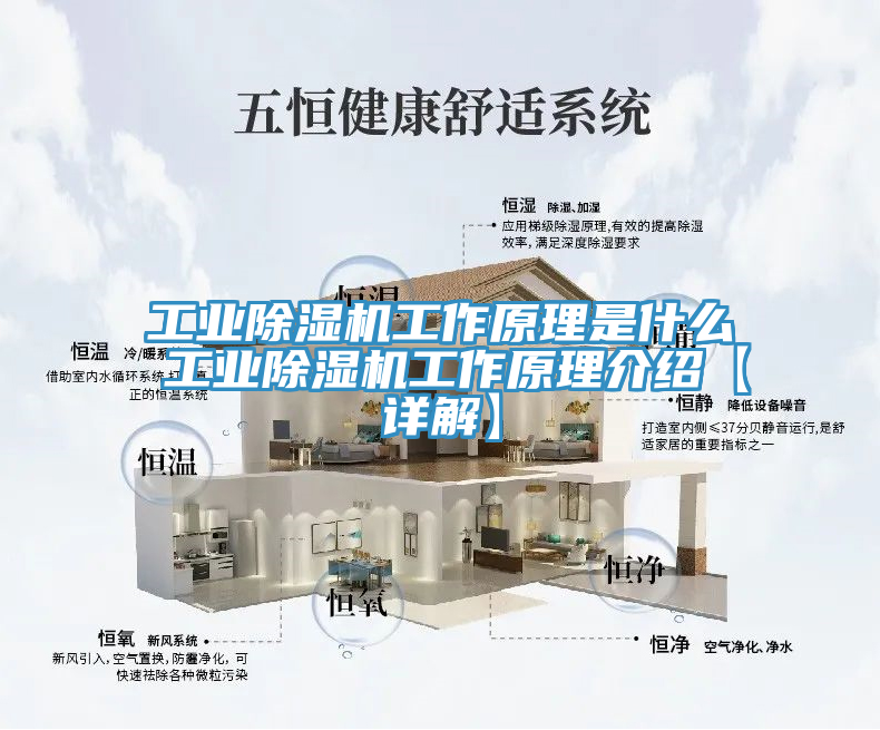 亚洲人成综合第一网站 工业除湿机工作原理是什么 工业除湿机工作原理介绍【详解】
