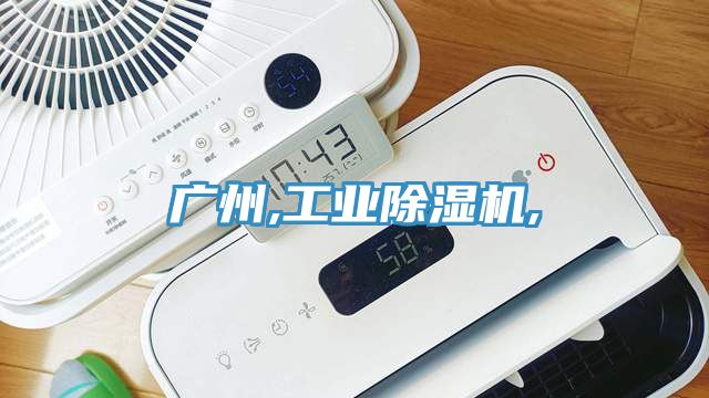亚洲欧美一级特黄大片 广州,工业除湿机,