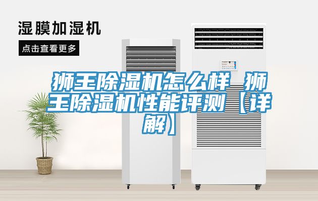 亚洲乱码一区二区三区 狮王除湿机怎么样 狮王除湿机性能评测【详解】