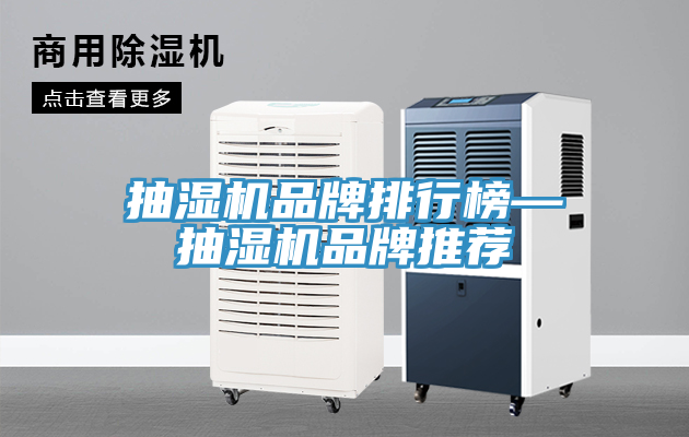 亚洲人成综合第一网站 抽湿机品牌排行榜—抽湿机品牌推荐