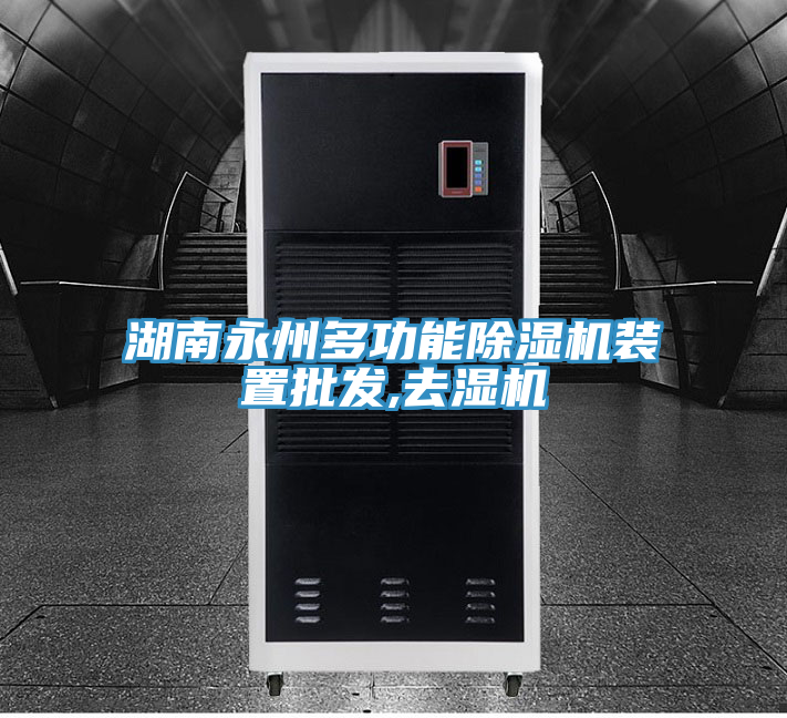亚洲欧美一级特黄大片 湖南永州多功能除湿机装置批发,去湿机