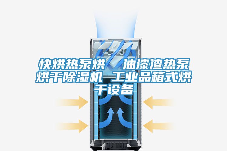 亚洲欧美一级特黄大片 快烘热泵烘  油漆渣热泵烘干除湿机 工业品箱式烘干设备