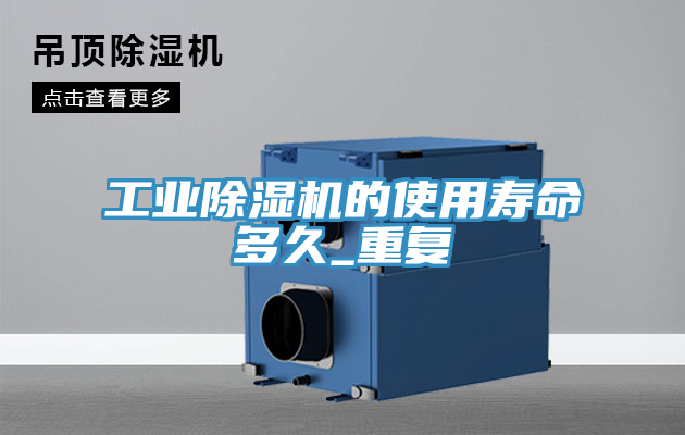 亚洲乱码一区二区三区 工业除湿机的使用寿命多久_重复