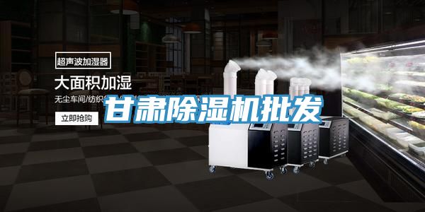亚洲欧美一级特黄大片 甘肃除湿机批发