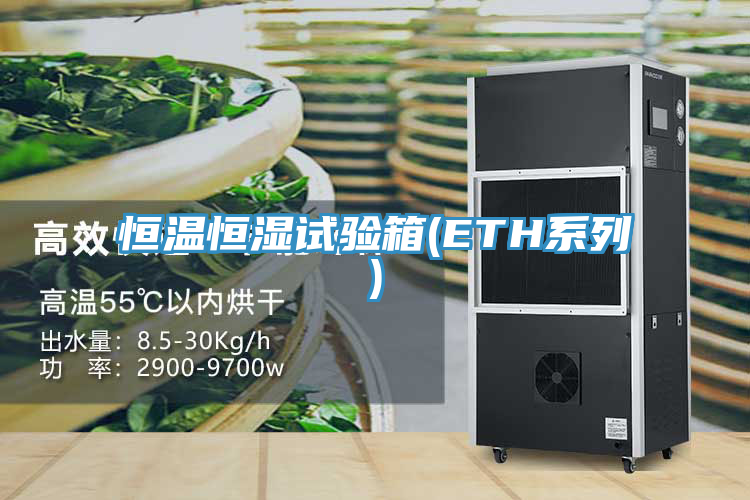 亚洲人成综合第一网站 恒温恒湿试验箱(ETH系列)