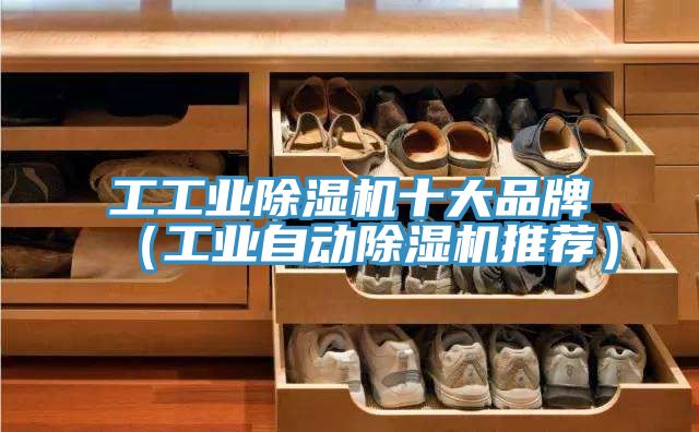 亚洲乱码一区二区三区 工工业除湿机十大品牌（工业自动除湿机推荐）