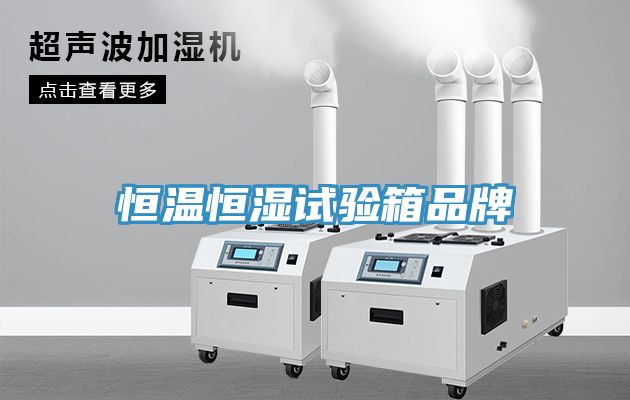 亚洲欧美一级特黄大片 恒温恒湿试验箱品牌