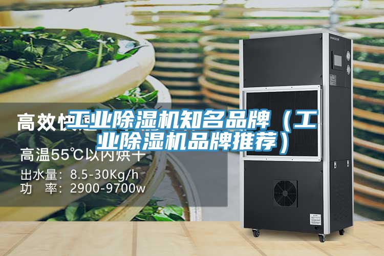 亚洲乱码一区二区三区 工业除湿机知名品牌（工业除湿机品牌推荐）