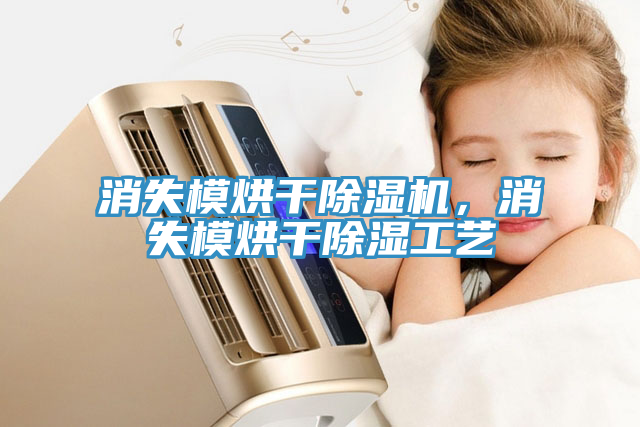 亚洲乱码一区二区三区 消失模烘干除湿机，消失模烘干除湿工艺