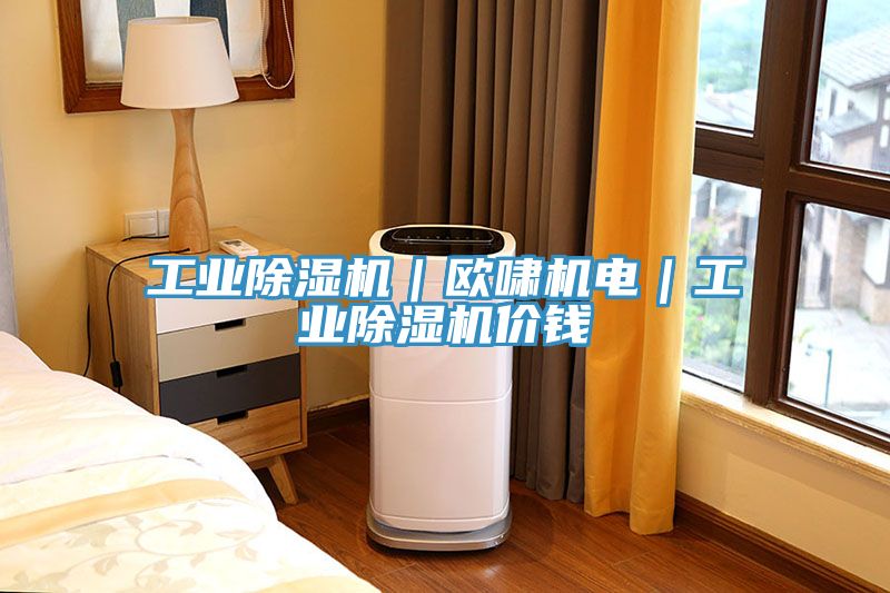 亚洲人成综合第一网站 工业除湿机｜欧啸机电｜工业除湿机价钱