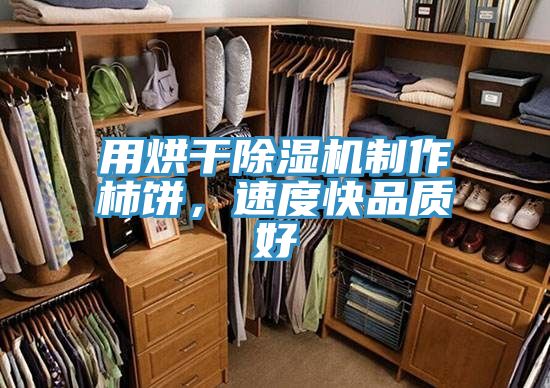 亚洲人成综合第一网站 用烘干除湿机制作柿饼，速度快品质好