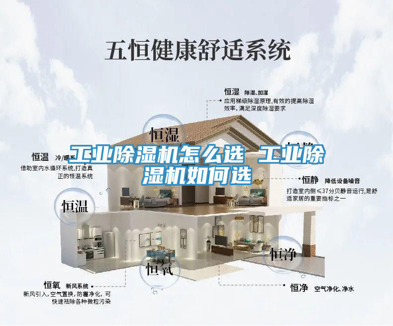 亚洲欧美一级特黄大片 工业除湿机怎么选 工业除湿机如何选