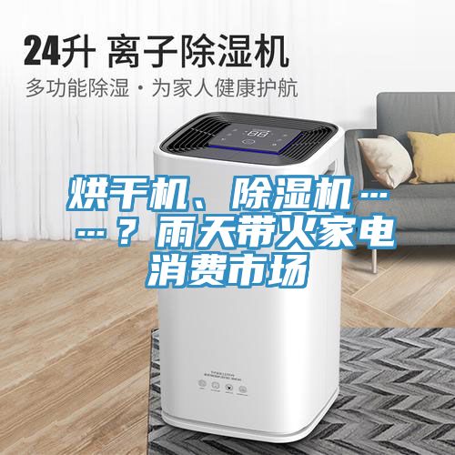 亚洲乱码一区二区三区 烘干机、除湿机……？雨天带火家电消费市场