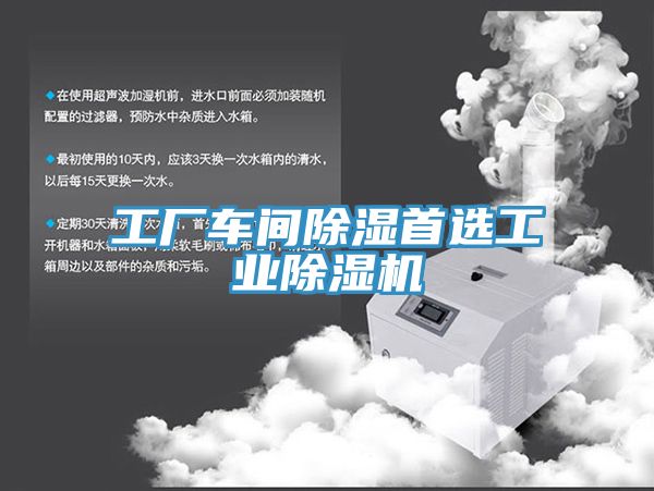 亚洲欧美一级特黄大片 工厂车间除湿首选工业除湿机