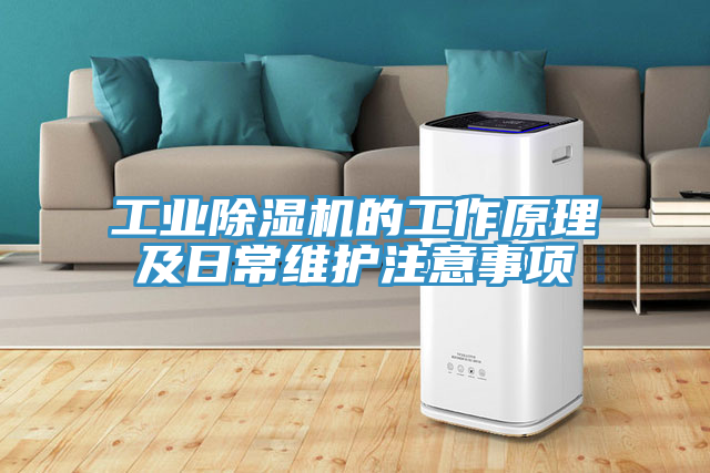 亚洲乱码一区二区三区 工业除湿机的工作原理及日常维护注意事项
