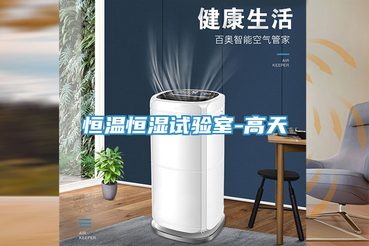 亚洲人成综合第一网站 恒温恒湿试验室-高天