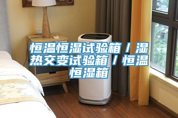 亚洲欧美一级特黄大片 恒温恒湿试验箱／湿热交变试验箱／恒温恒湿箱