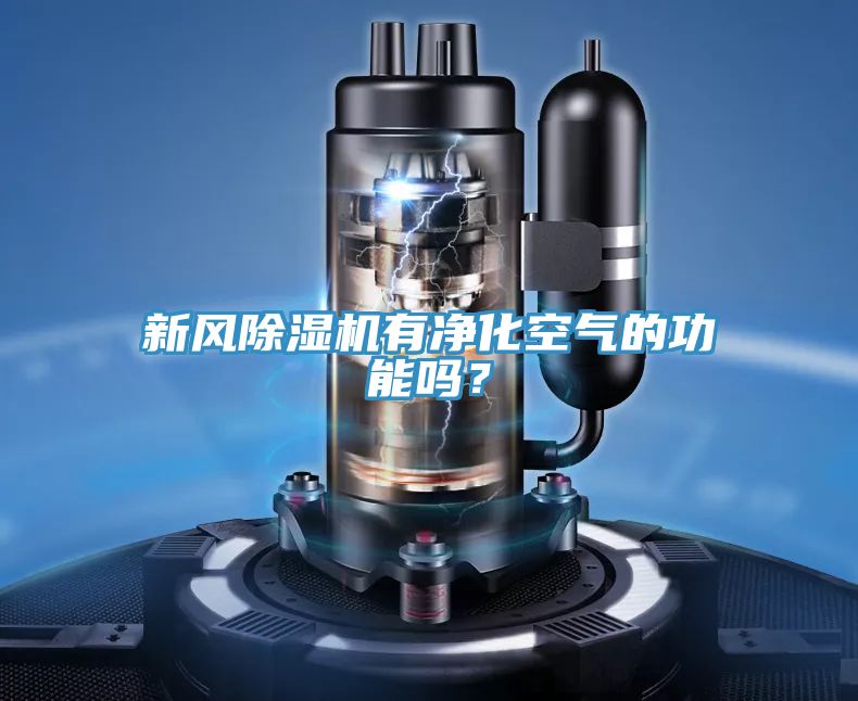 亚洲人成综合第一网站 新风除湿机有净化空气的功能吗？