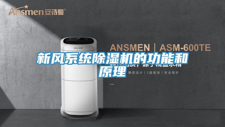 亚洲欧美一级特黄大片 新风系统除湿机的功能和原理