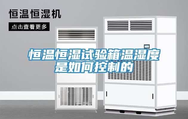 亚洲人成综合第一网站 恒温恒湿试验箱温湿度是如何控制的