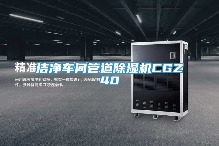 亚洲欧美一级特黄大片 洁净车间管道除湿机CGZ40