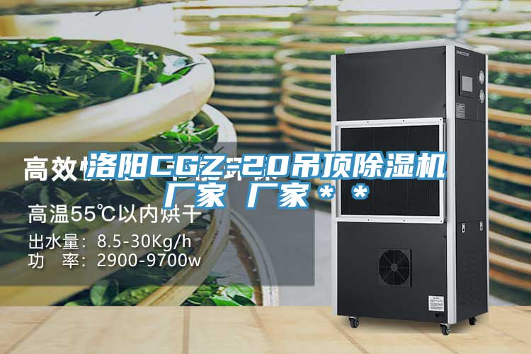 亚洲乱码一区二区三区 洛阳CGZ-20吊顶除湿机厂家 厂家＊＊