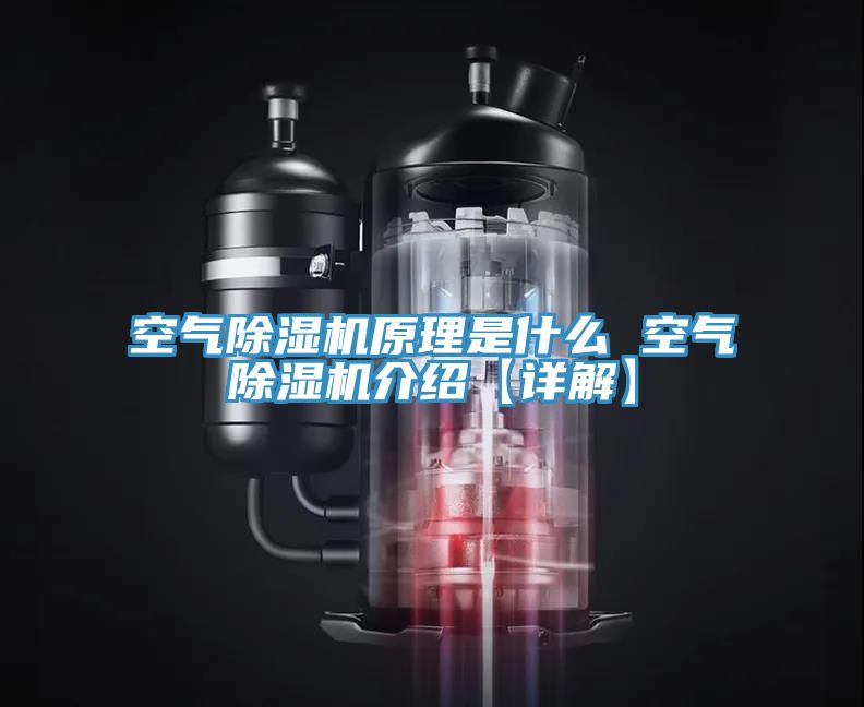 亚洲人成综合第一网站 空气除湿机原理是什么 空气除湿机介绍【详解】