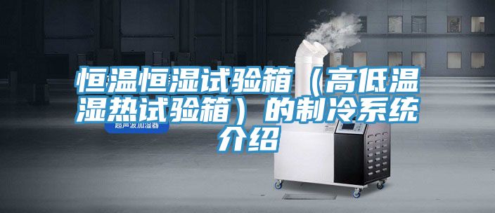 亚洲欧美一级特黄大片 恒温恒湿试验箱（高低温湿热试验箱）的制冷系统介绍