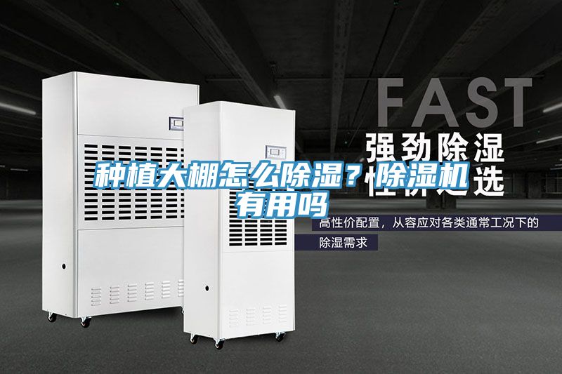 亚洲人成综合第一网站 种植大棚怎么除湿？除湿机有用吗