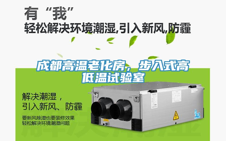 亚洲人成综合第一网站 成都高温老化房，步入式高低温试验室
