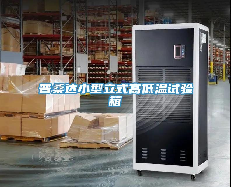 亚洲人成综合第一网站 普桑达小型立式高低温试验箱