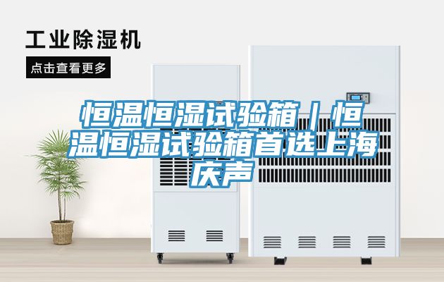亚洲人成综合第一网站 恒温恒湿试验箱｜恒温恒湿试验箱首选上海庆声