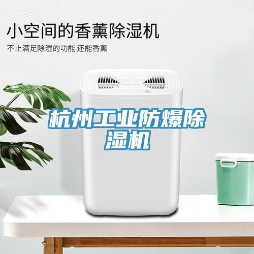 亚洲人成综合第一网站 杭州工业防爆除湿机