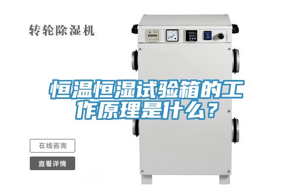 亚洲人成综合第一网站 恒温恒湿试验箱的工作原理是什么？