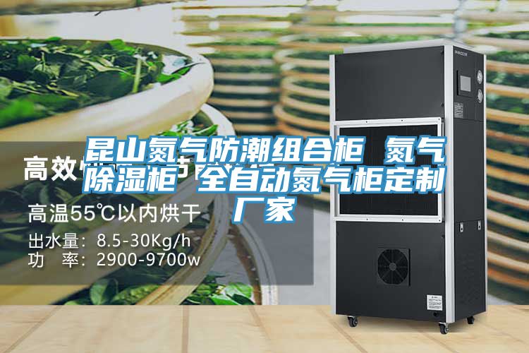 亚洲乱码一区二区三区 昆山氮气防潮组合柜 氮气除湿柜 全自动氮气柜定制厂家