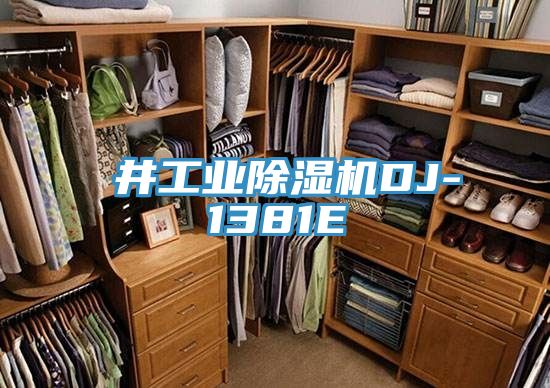 亚洲欧美一级特黄大片 東井工业除湿机DJ-1381E