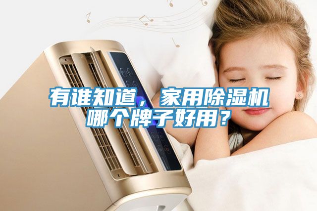 亚洲欧美一级特黄大片 有谁知道，家用除湿机哪个牌子好用？