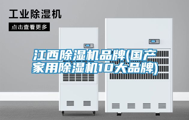 亚洲人成综合第一网站 江西除湿机品牌(国产家用除湿机10大品牌)