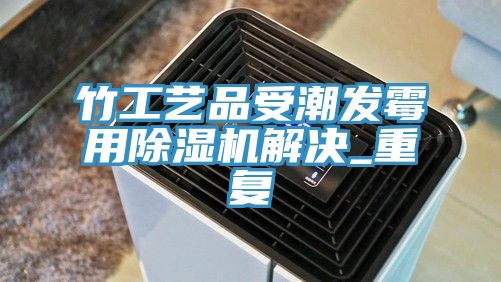 亚洲人成综合第一网站 竹工艺品受潮发霉用除湿机解决_重复