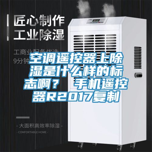 亚洲人成综合第一网站 空调遥控器上除湿是什么样的标志啊？ 手机遥控器R2017复制