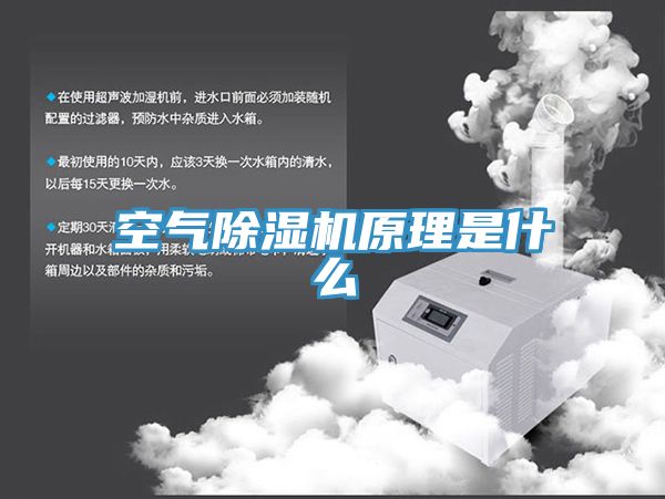 亚洲人成综合第一网站 空气除湿机原理是什么