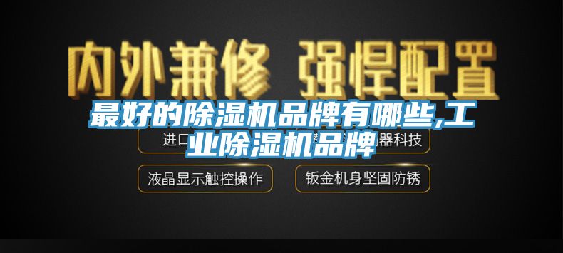 亚洲欧美一级特黄大片 最好的除湿机品牌有哪些,工业除湿机品牌