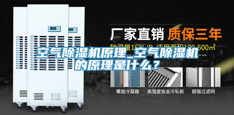 亚洲人成综合第一网站 空气除湿机原理_空气除湿机的原理是什么？