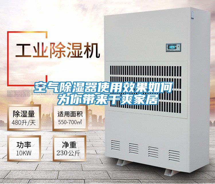 亚洲人成综合第一网站 空气除湿器使用效果如何 为你带来干爽家居