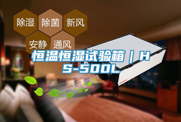 亚洲欧美一级特黄大片 恒温恒湿试验箱｜HS-500L
