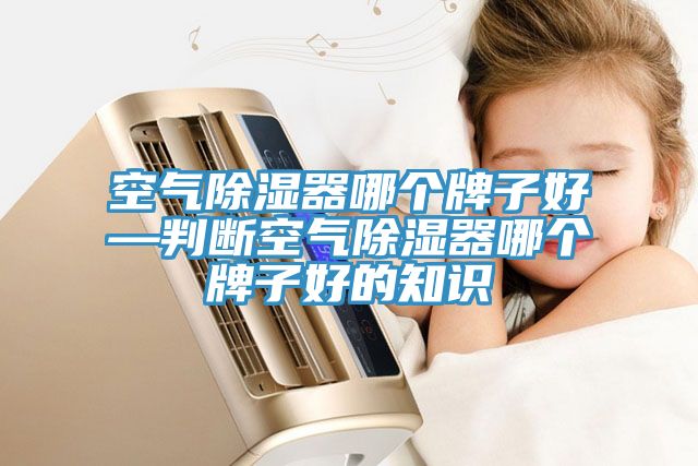 亚洲人成综合第一网站 空气除湿器哪个牌子好—判断空气除湿器哪个牌子好的知识